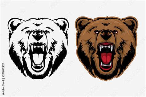 Bear mascot heqd